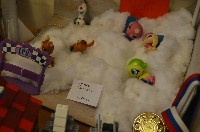 �����������