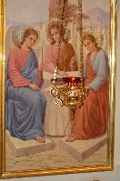 �����������