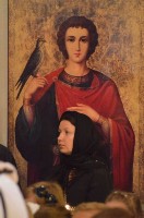 �����������