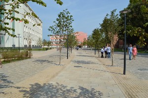 �����������