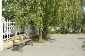 �����������