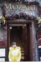 �����������