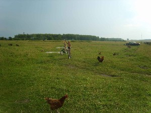 �����������