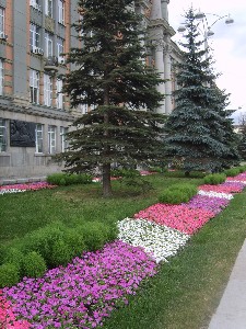 �����������