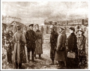 �����������