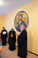 �����������