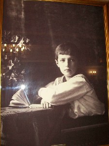 �����������